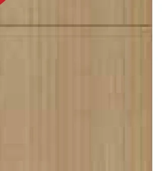 Oak Blonde cabinet door