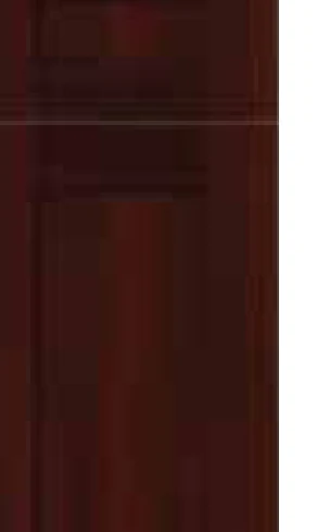 Shaker Expresso cabinet door