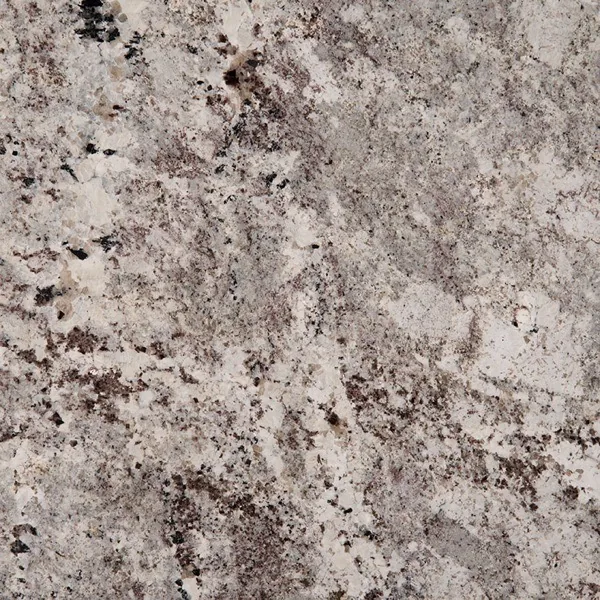 Alaska White granite countertop slab