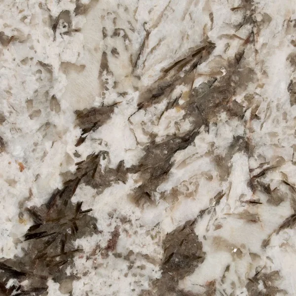 Bianco Antico granite countertop slab