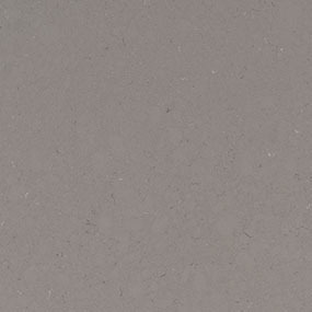 Fossil Gray