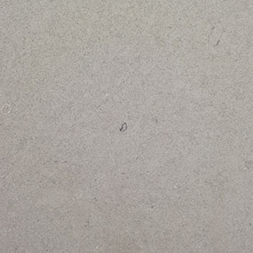 Fossil Gray - Matte Finish